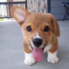 Виталий Болотов