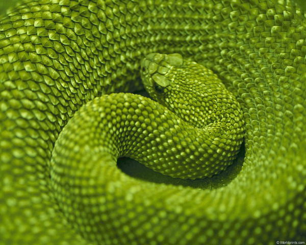 Марина Сидорова