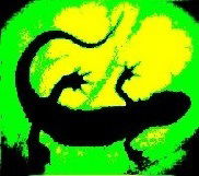 Владимир Остриков