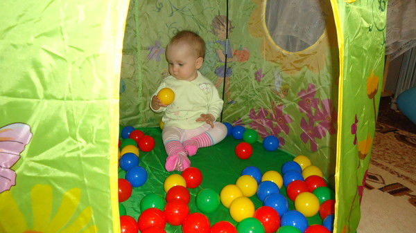 Рафина Пашнина