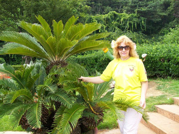 Светлана Миронюк