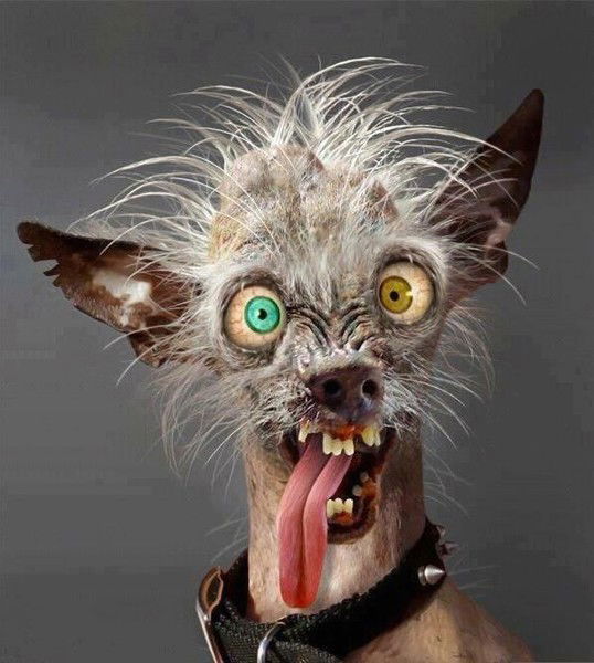 Тоша Узелкова