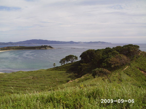 Надежда Григорьевна