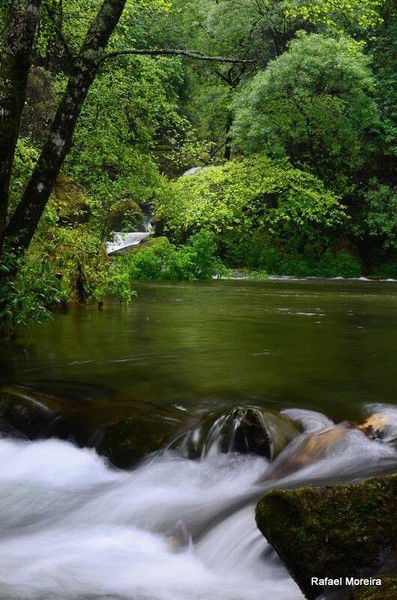 Рыскуль Буркитбaeвa