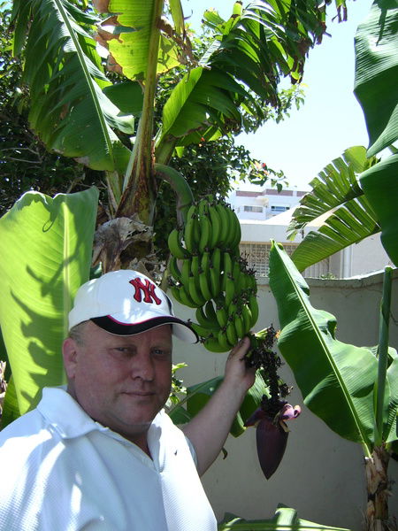 Александр Перкин