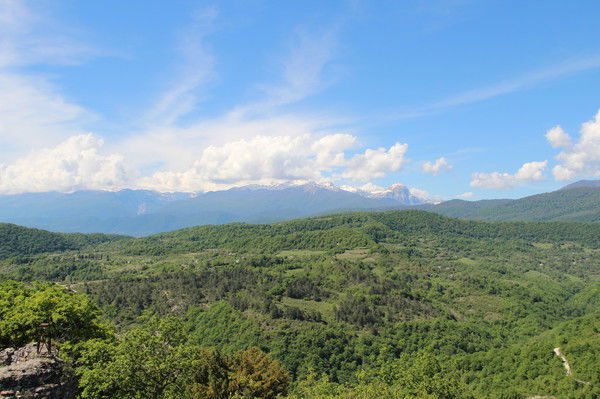 Вадим Харпалёв