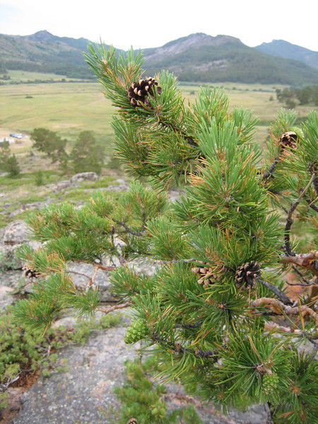 Игорь Грищук