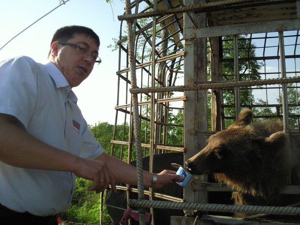 Владимир Норик