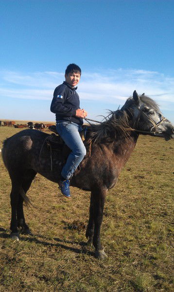 Алибек Илеш