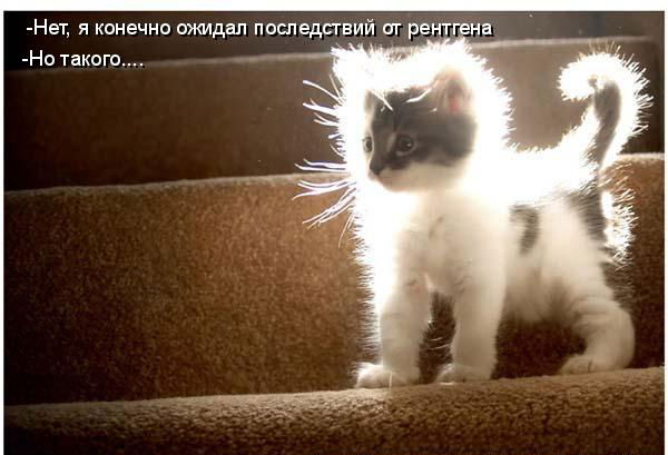 Полина Полковникова