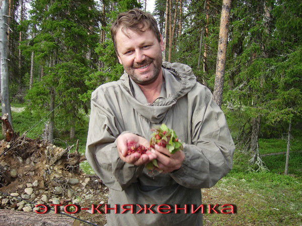 Евгений Николаев