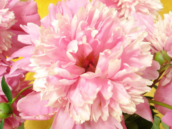 Люзия Валишина