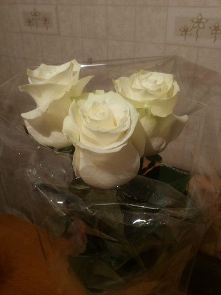 Аслан И Сандугаш Махамбетовы