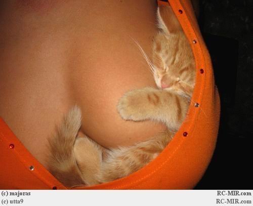 Иванов Иван