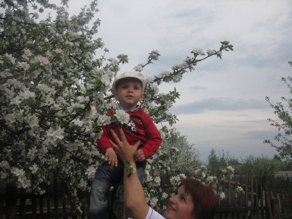 Лена Морозова