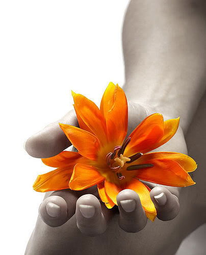 Ольга Тихоненко