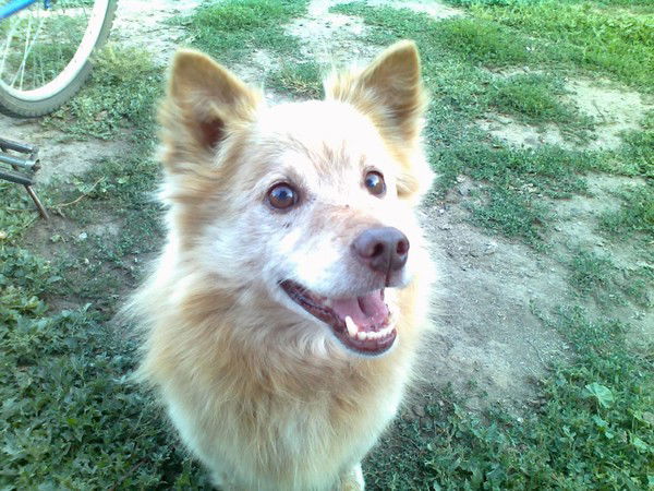 Айдар Хусаиннов