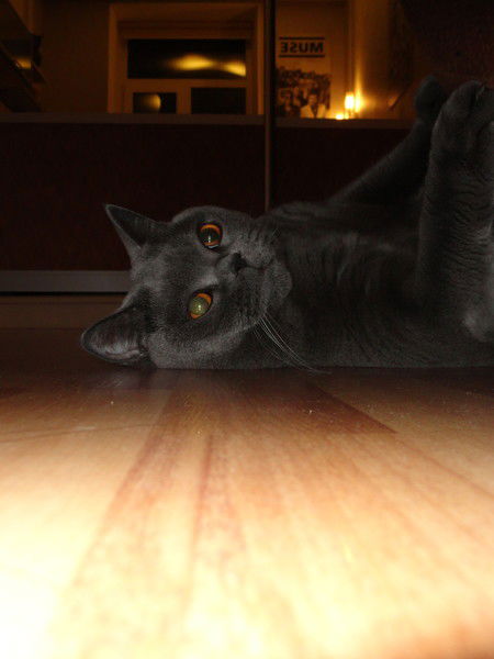 Аза Кириленко