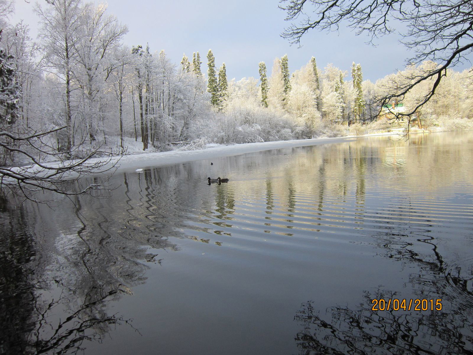 Елена Митяшова