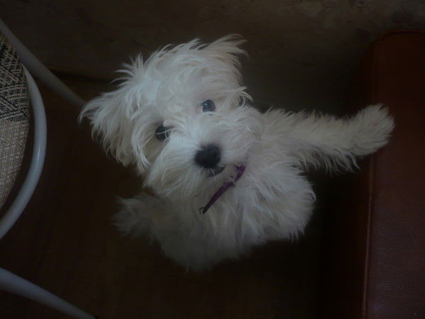 Людмила Кремлёва