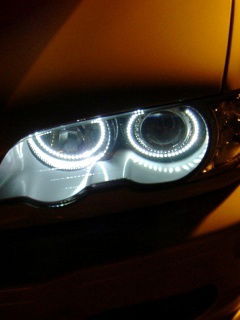 Фёдор Гузев