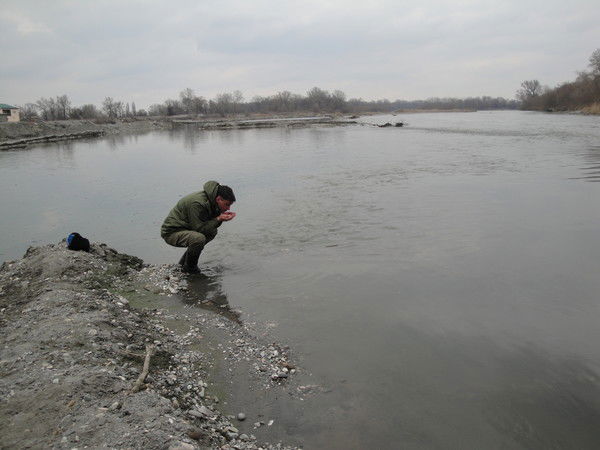 Евгений Кокарев