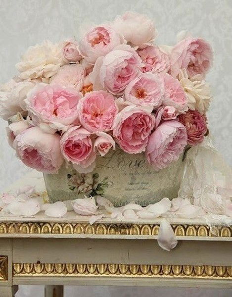 Жадыра Койшыгулова