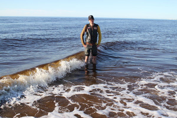 Александр Аминев