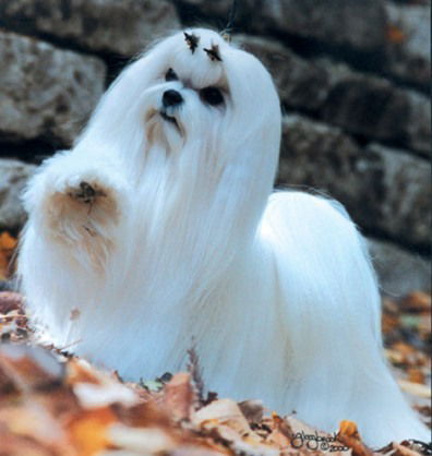 Татьяна Наборщикова