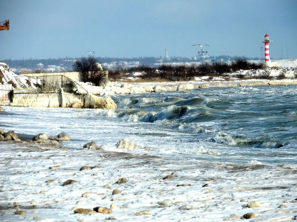 Артем Платонов