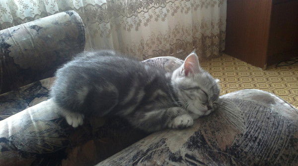 Руслан Авзалов