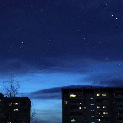 Ростислав Лис