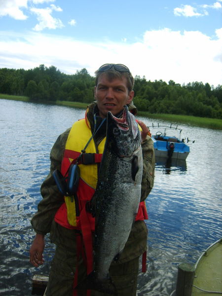 Владимир Момотов