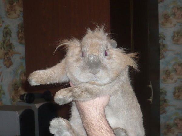 Александр Овчинников