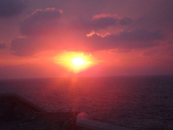 Виктория Гринева