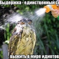 Славик Бондаренко