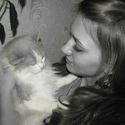 Катька Сорока