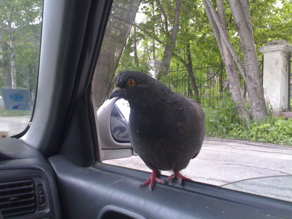 Иван Терещенко