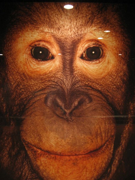 Олег Пацкан