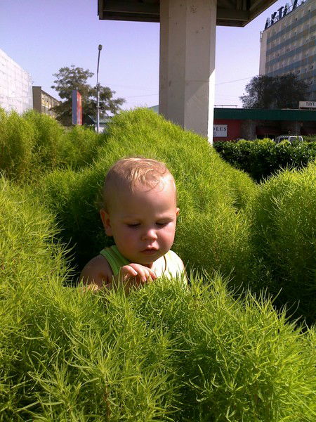 Светлана Рассанова