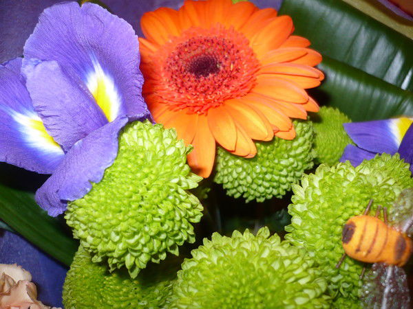 Зиннатуллина Гузель