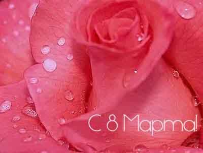 Татьяна Аминова