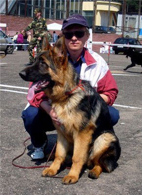 Андрей Гороховик