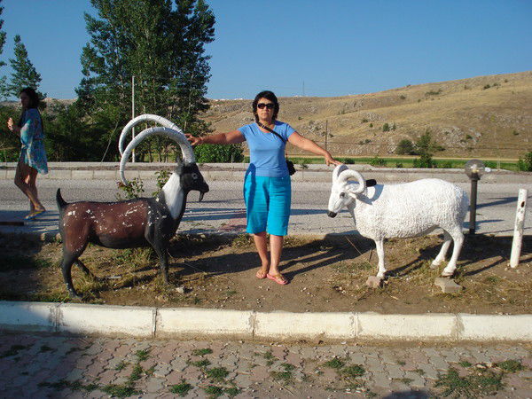 Сауле Аубакирова