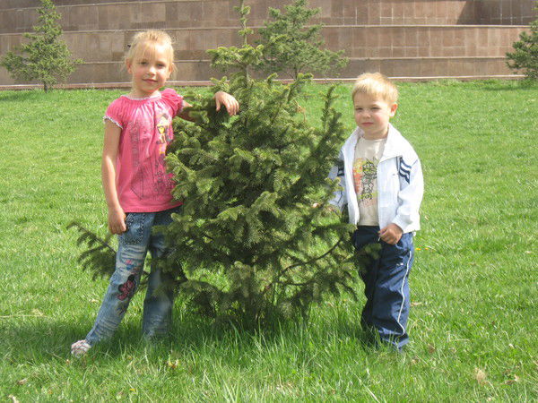 Ирина Зорина