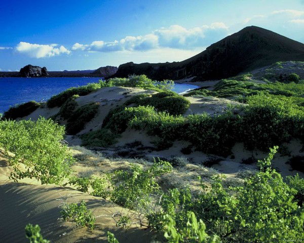 Кирил Жлудь