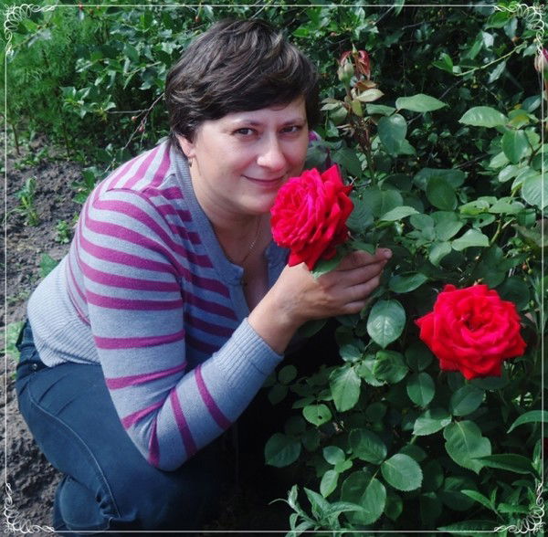 Лена Салтук