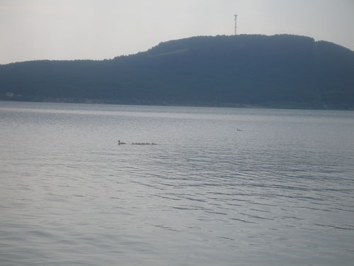 Валентина Лушкина