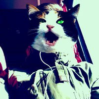 Александр Ким