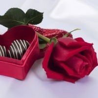 Ирина Рязанова